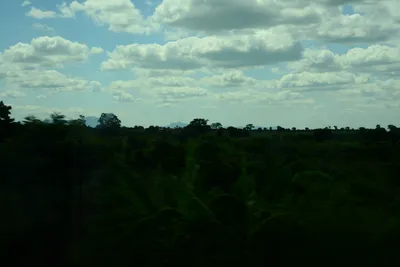 DSC_9658 (Large).JPG